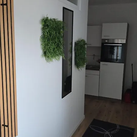 Apartment Im Herzen Von In Der Pfalz *